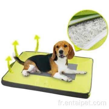 Pet Cool Mat Chien de base de base personnalisé